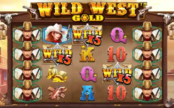 Wild West Casino privacy policy and site data